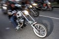 HarleyHH2011   289